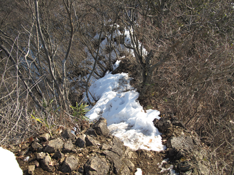 20160128hike (206)
